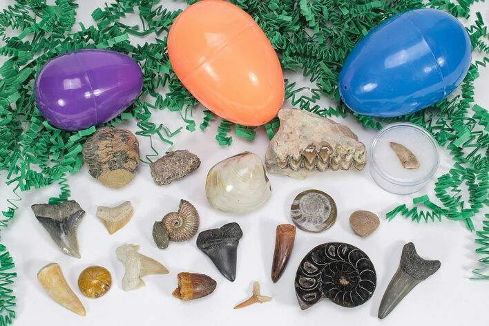 Fossil Filled Easter Eggs! - 3 Pack - Photo 1